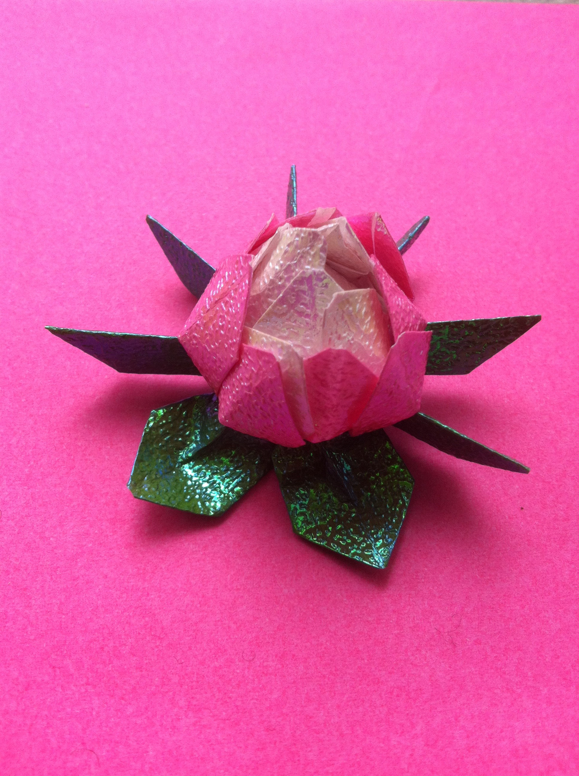 Pasul 5 - Lotus finalizat